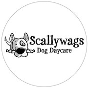 Scallywags Dog Daycare